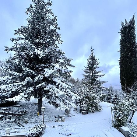 Mazzetti Country House-Vita In Campagna Con Giardino Vimignano-Chiesa Eksteriør billede