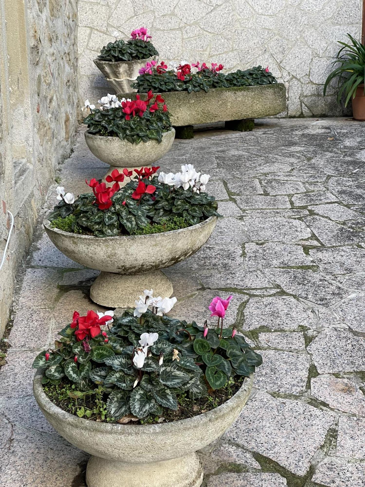 Mazzetti Country House-Vita In Campagna Con Giardino Vimignano-Chiesa Eksteriør billede