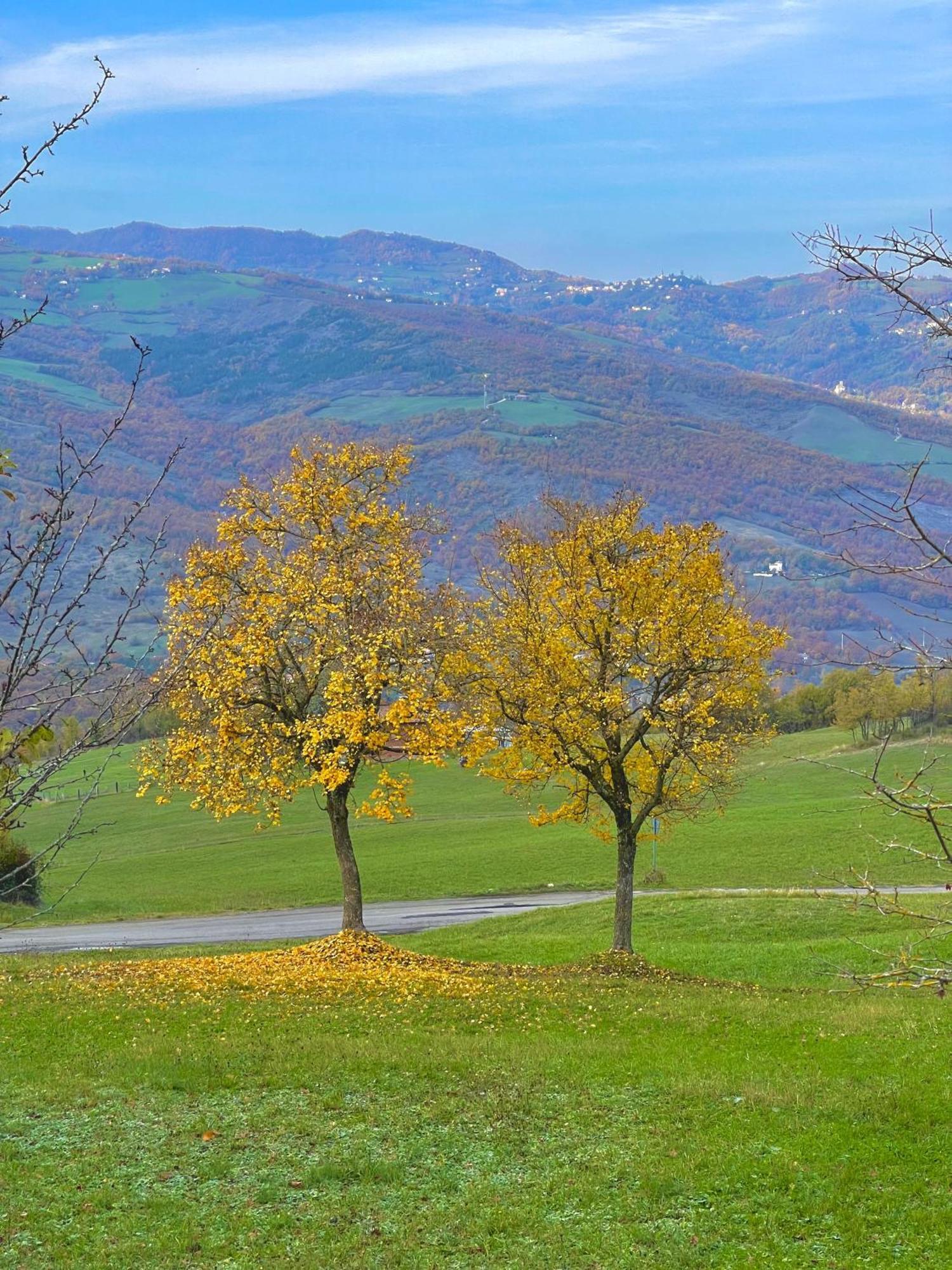 Mazzetti Country House-Vita In Campagna Con Giardino Vimignano-Chiesa Eksteriør billede