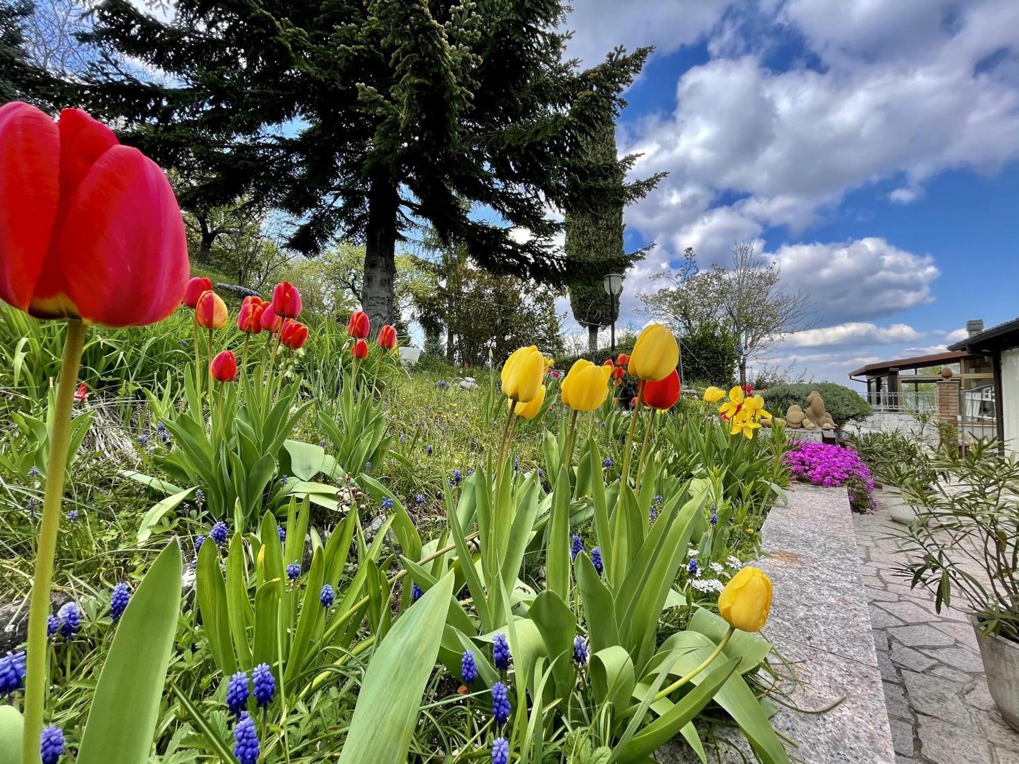 Mazzetti Country House-Vita In Campagna Con Giardino Vimignano-Chiesa Eksteriør billede