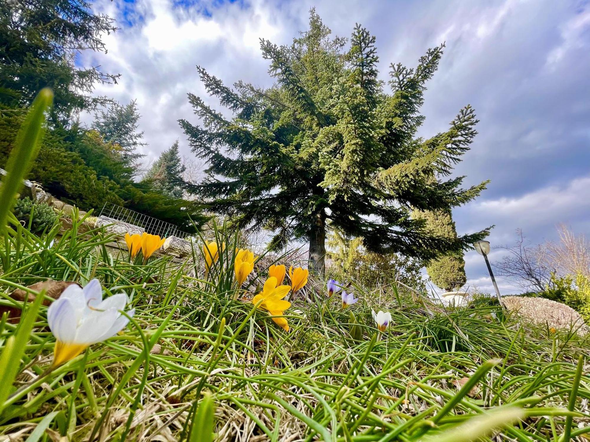 Mazzetti Country House-Vita In Campagna Con Giardino Vimignano-Chiesa Eksteriør billede