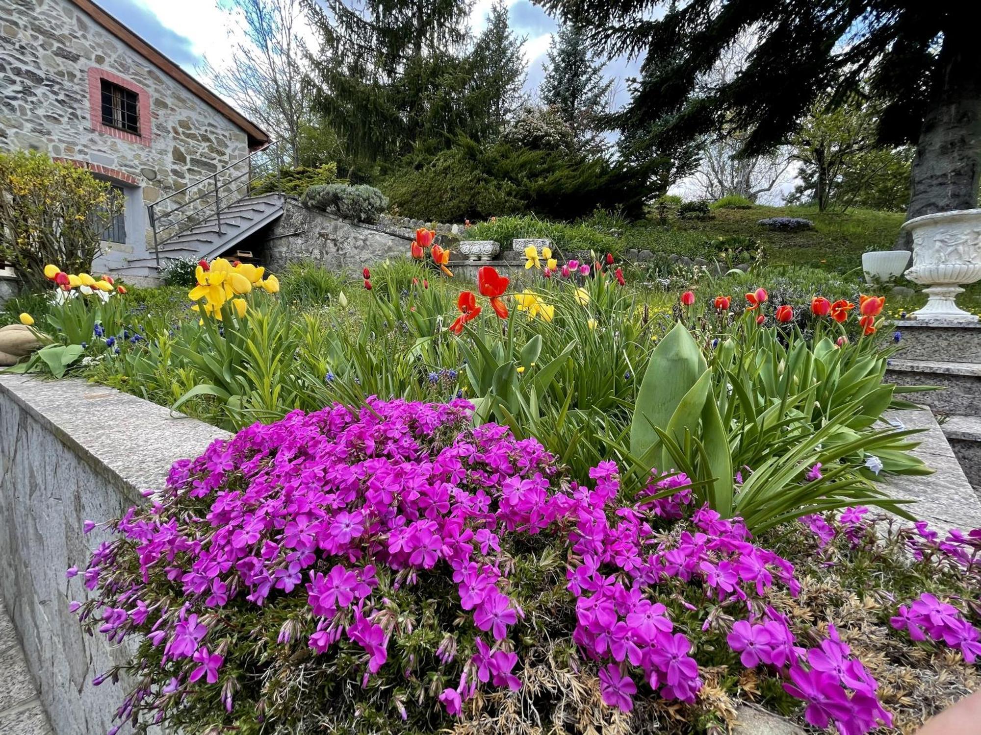 Mazzetti Country House-Vita In Campagna Con Giardino Vimignano-Chiesa Eksteriør billede