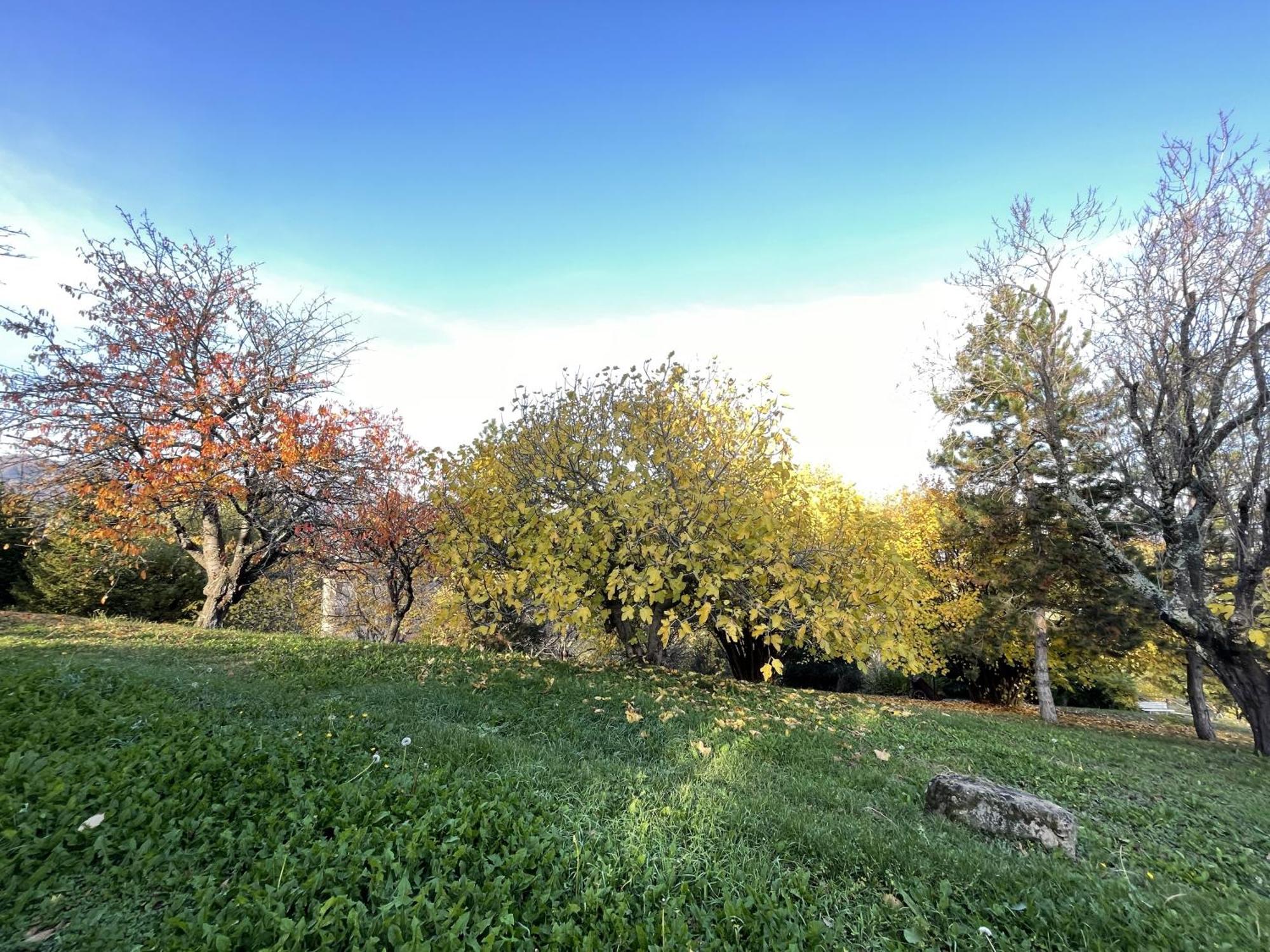 Mazzetti Country House-Vita In Campagna Con Giardino Vimignano-Chiesa Eksteriør billede