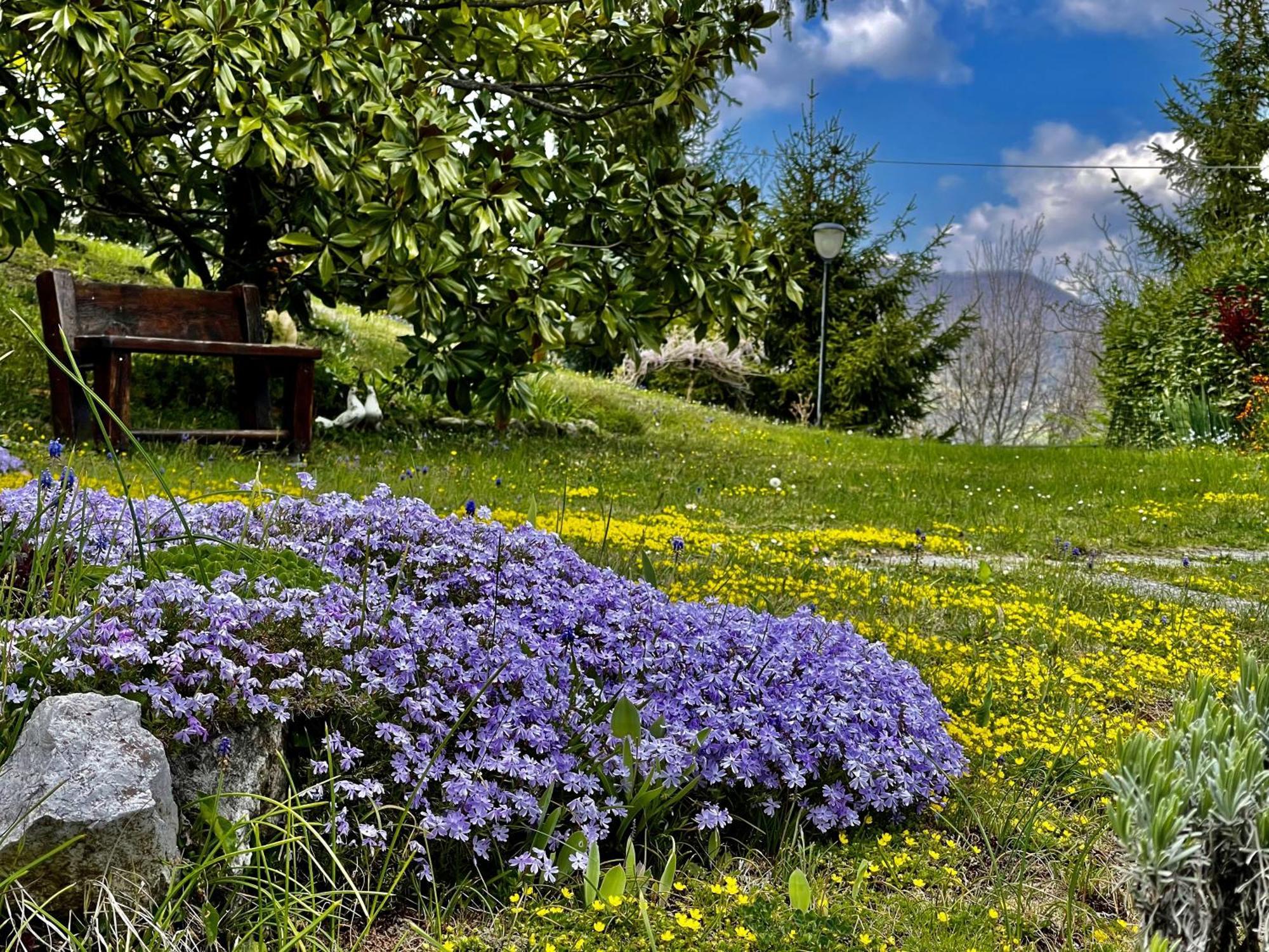 Mazzetti Country House-Vita In Campagna Con Giardino Vimignano-Chiesa Eksteriør billede