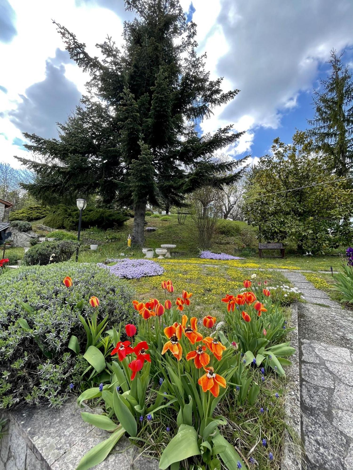 Mazzetti Country House-Vita In Campagna Con Giardino Vimignano-Chiesa Eksteriør billede